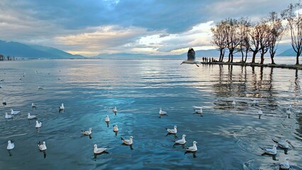 Fototapete bei efototapeten.de bestellen   