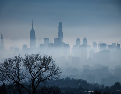 Misty skyline silhouettes distant towers. Atmospheric urban vista with a bare tree in the foreground. Moody, ethereal, and evocative of progress vs nature.