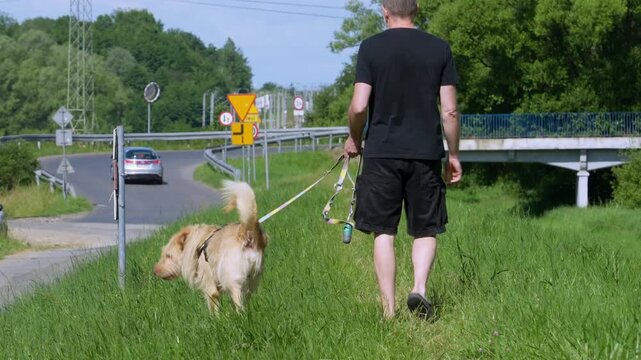 Rear view of a man walking a fluffy dog on a leash along a grassy path near a road with traffic in Krakow, symbolizing daily pet care routine and suburban lifestyle