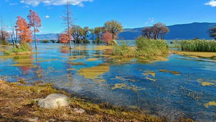 Fototapete bei efototapeten.de bestellen   