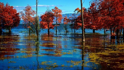 Fototapete bei efototapeten.de bestellen   