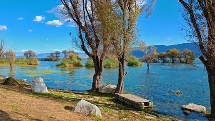 Fototapete bei efototapeten.de bestellen   