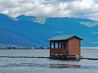 Fototapete bei efototapeten.de bestellen   