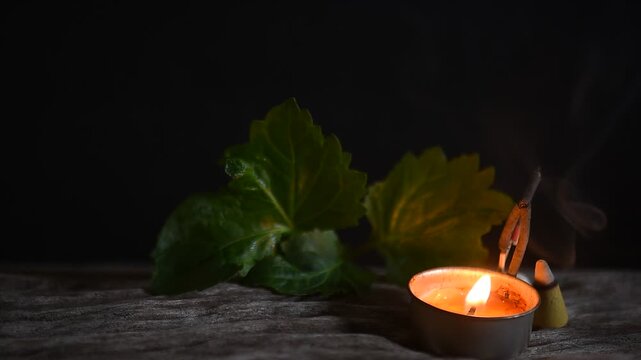 Aromatherapy with Patchouli branch green leaves on black ceramic background.