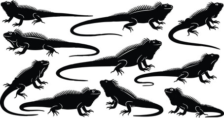 Fototapeta premium Iguana vector illustration featuring multiple poses and silhouettes for creative projects and designs 