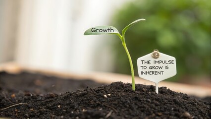 A single green seedling labeled Growth emerges from dark soil, representing new beginnings and potential