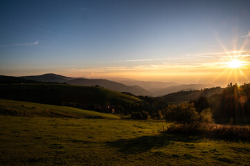 Obraz premium Black forest Landscape 