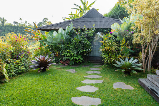 Tropical villa surrounded by lush greenery and vibrant exotic plants. - Powered by Adobe