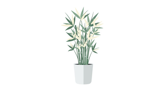 Elegant potted bamboo plant against a pristine white backdrop offering a serene touch to