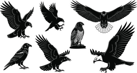 Obraz premium Eagle and hawk silhouettes collection, black bird of prey vector illustration set, flying crow symbols for mascot logo design, isolated wings on white.