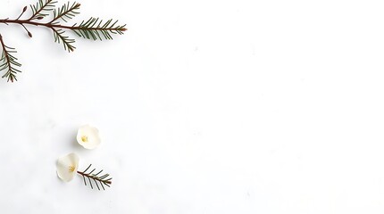 Minimal Christmas Card & Banner Designs with Copyspace