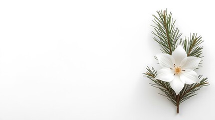 Minimal Christmas Card & Banner Designs with Copyspace