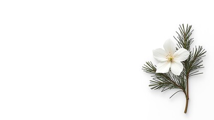 Minimal Christmas Card & Banner Designs with Copyspace