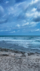 Dramatic Coastal Seascape Vertical with Cloudy Sky