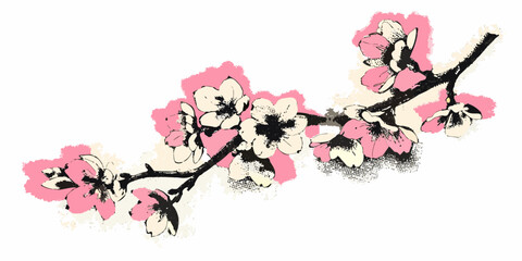 Naklejka premium Cherry blossom branch with pink and cream flowers in grunge style