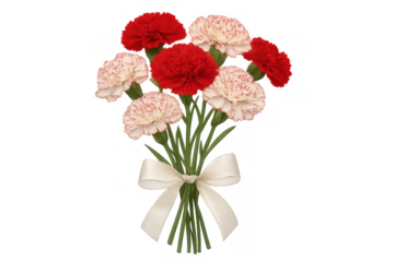 Carnation bouquet with red and white flowers forming sweet gift for mother's day, love, and celebration, transparent background