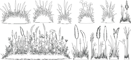 set of shrubs line cad, Ground cover. Illustration for elevation architectural element, side view, grass section. vector illustration. © shahzad
