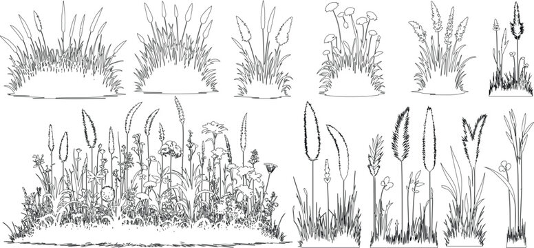 set of shrubs line cad, Ground cover. Illustration for elevation architectural element, side view, grass section.	vector illustration.