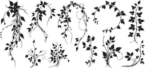 Fototapeta premium silhouettes of hanging jungle vines and tropical liana plants set, cad drawing flat vector illustration.