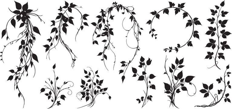 silhouettes of hanging jungle vines and tropical liana plants set, cad drawing flat vector illustration.