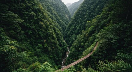 Breathtaking high-angle view of a wooden suspension bridge crossing a deep, verdant canyon with a river flowing through the lush, dense tropical rainforest