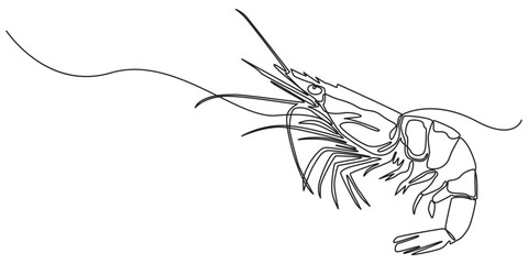 One continuous line drawing of fresh shrimp for seafood logo identity, Continuous one line drawing of shrimp. Isolated on white background vector illustration, Pro vector. One continuous line drawing 