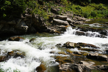 A mountain river in the forest, the water is bubbling very beautifully.