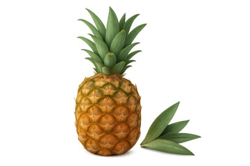 Fototapeta premium Ripe whole pineapple with green spiky crown and separate leaves, tropical fruit on transparent background, fresh food