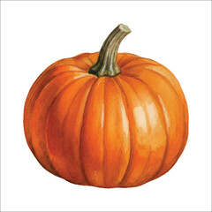 Watercolor Pumpkin Illustration on White Background

