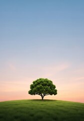 Fototapeta premium Solitary tree on green hill illuminated by the serene dawn sky