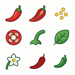 Spicy Chili Pepper Icon Set – Hot Pepper, Seeds, Vegetables & Cooking Elements Illustration