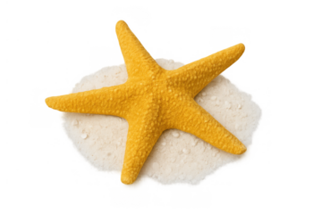 Yellow sea star resting on a small pile of white sand, isolated for easy integration into various designs