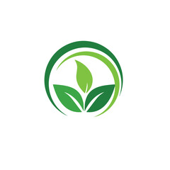 Green leaves in a circle isolated on represent growth, nature, and sustainability, perfect for ecofriendly brands and businesses