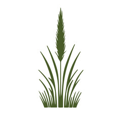 Illustration of a reed plant isolated on, featuring its tall stem, feathery seed heads, and slender leaves in a simple, elegant design