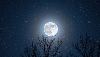 Bright Full Moon Illuminates a Serene Starry Night Sky with Silhouetted Bare Tree Branches