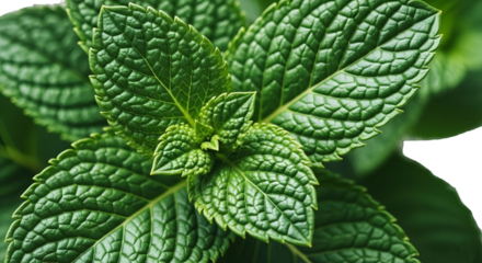 A textured white paper floats, casting subtle shadows against a stark black background's void.