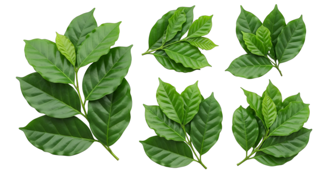 A tantalizing assortment of four ice cream scoops with varied flavors against a black background