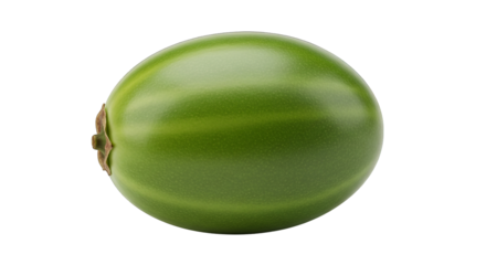 A vibrant green, unripe watermelon is isolated against a stark black backdrop in studio lighting.