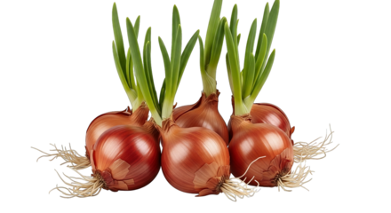 A vibrant rainbow swirl lollipop on a stick against a solid black backdrop, promoting fun and color.