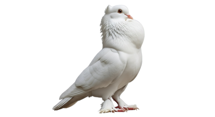 Hand delicately holds a blue surgical mask against a stark black background, symbolizing protection