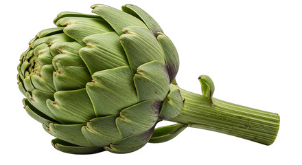 Isolated artichoke presented on a black background displaying intricate leaf and stem textures.