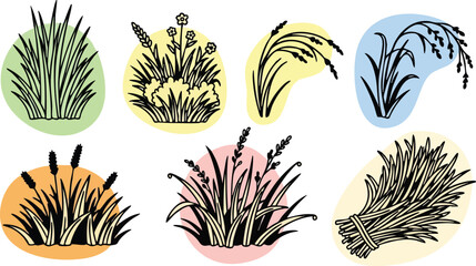 Various hand drawn rice plants with grains and stalks on colored backgrounds vector illustration