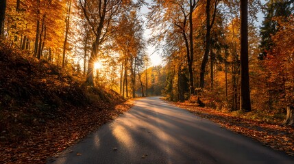 Obraz premium A scenic road winding through a vibrant autumn forest at sunset.