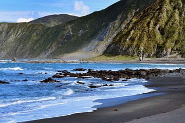 The Black sand beach of the Cook Strait