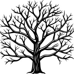Black and white silhouette of a large deciduous tree without leaves isolated on