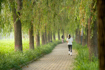 Fototapeta premium In the early morning, on the sidewalk of the dense forest botanical garden, people who love sports are taking walks to exercise their bodies