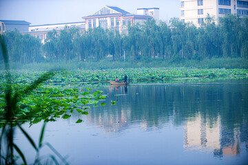 Tangshan City, Hebei Province, China - July 11, 2024: A fisherman drives a small fishing boat to...
