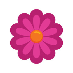 pink flower with orange center and round petals isolated on white background