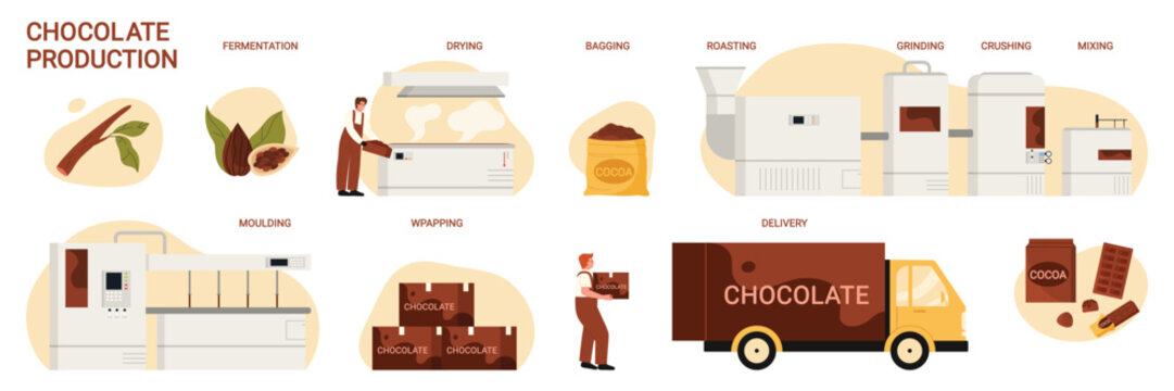 Chocolate production in food industry, manufacturing stages set. Processing line of fermentation, drying and roasting of cocoa beans, grinding for making chocolate cartoon vector illustration