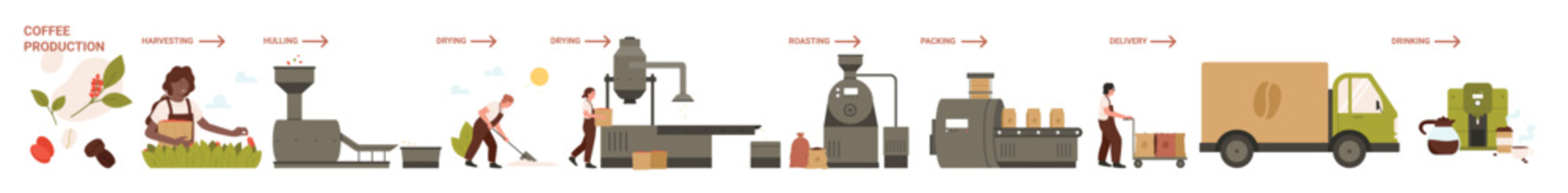 Coffee production in food industry, manufacturing stages set. Processing line of harvesting on plantation, drying and roasting coffee beans for packaging, delivery to store cartoon vector illustration